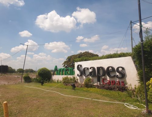 Amaia Scapes Capas